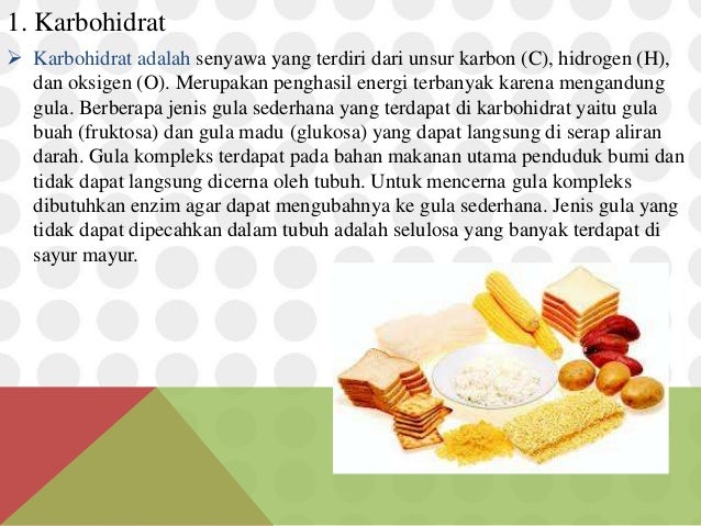 IPA - Sistem pencernaan manusia