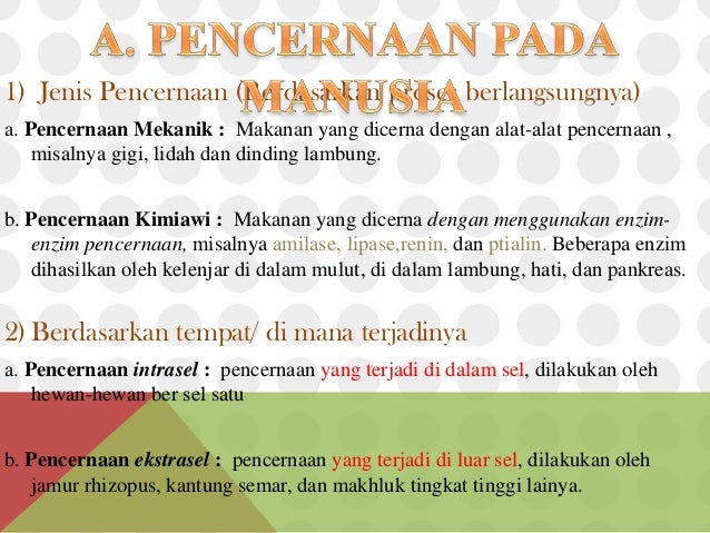 Ipa Sistem Pencernaan Manusia