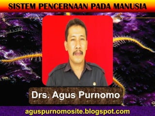 SISTEM PENCERNAAN PADA MANUSIA




     Drs. Agus Purnomo
   aguspurnomosite.blogspot.com
 