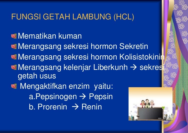 Sistem pencernaan pada manusia