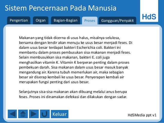 Sistem Pencernaan Pada Manusia Ppt
