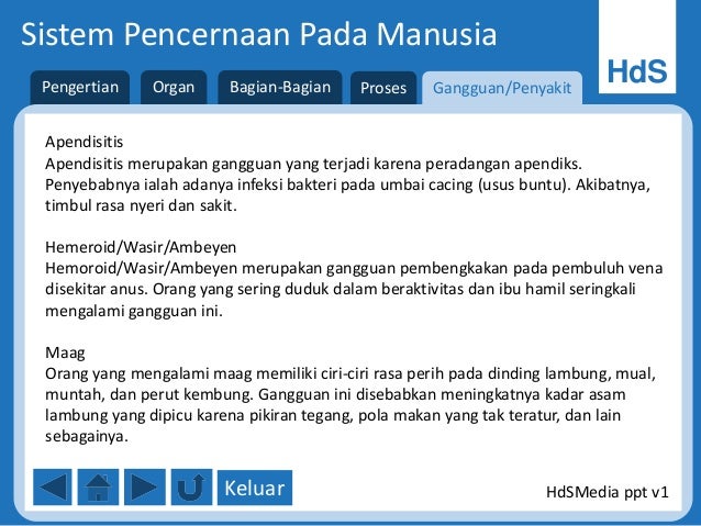 Sistem Pencernaan Pada Manusia Ppt