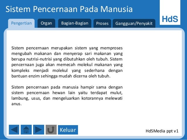Sistem Pencernaan Pada Manusia Ppt