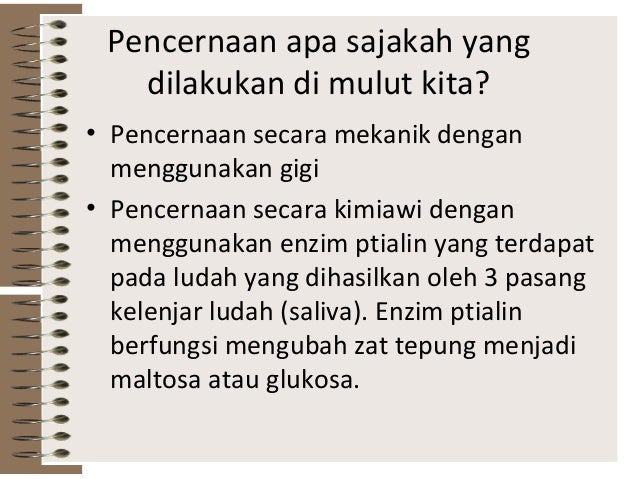 Sistem Pencernaan Sahid Kusuma Solo