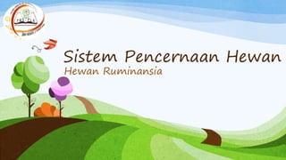 Sistem Pencernaan Hewan 
Hewan Ruminansia 
 