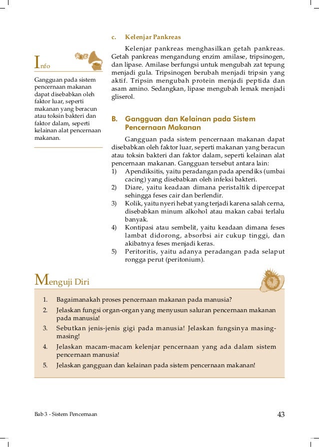 Download Gambarkan Sistem Pencernaan Makanan Pada Manusia Dan Ruminansia Dan Sebutkan Bagian-Bagiannya Background