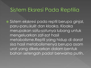  Sistem ekskresi pada reptil berupa ginjal, 
paru-paru,kulit dan kloaka. Kloaka 
merupakan satu-satunya lubang untuk 
mengeluarkan zat-zat hasil 
metabolisme.Reptil yang hidup di darat 
sisa hasil metabolismenya berupa asam 
urat yang dikeluarkan dalam bentuk 
bahan setengah padat berwarna putih. 
 