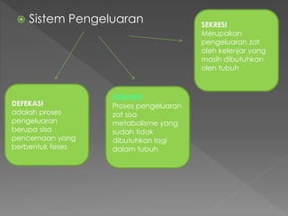  Sistem Pengeluaran 
DEFEKASI 
adalah proses 
pengeluaran 
berupa sisa 
pencernaan yang 
berbentuk feses 
SEKRESI 
Merupakan 
pengeluaran zat 
oleh kelenjar yang 
masih dibutuhkan 
oleh tubuh 
EKSKRESI 
Proses pengeluaran 
zat sisa 
metabolisme yang 
sudah tidak 
dibutuhkan lagi 
dalam tubuh 
 
