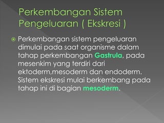  Perkembangan sistem pengeluaran 
dimulai pada saat organisme dalam 
tahap perkembangan Gastrula, pada 
mesenkim yang terdiri dari 
ektoderm,mesoderm dan endoderm. 
Sistem ekskresi mulai berkembang pada 
tahap ini di bagian mesoderm. 
 