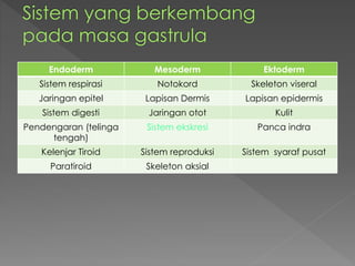 Endoderm Mesoderm Ektoderm 
Sistem respirasi Notokord Skeleton viseral 
Jaringan epitel Lapisan Dermis Lapisan epidermis 
Sistem digesti Jaringan otot Kulit 
Pendengaran (telinga 
tengah) 
Sistem ekskresi Panca indra 
Kelenjar Tiroid Sistem reproduksi Sistem syaraf pusat 
Paratiroid Skeleton aksial 
 
