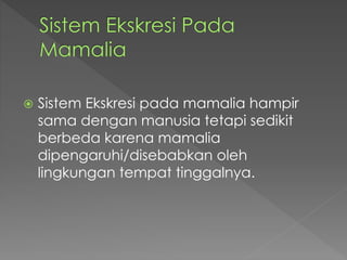 Sistem Ekskresi pada mamalia hampir 
sama dengan manusia tetapi sedikit 
berbeda karena mamalia 
dipengaruhi/disebabkan oleh 
lingkungan tempat tinggalnya. 
 