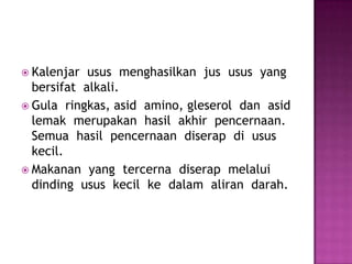  Kalenjar usus menghasilkan jus usus yang
bersifat alkali.
 Gula ringkas, asid amino, gleserol dan asid
lemak merupakan hasil akhir pencernaan.
Semua hasil pencernaan diserap di usus
kecil.
 Makanan yang tercerna diserap melalui
dinding usus kecil ke dalam aliran darah.
 