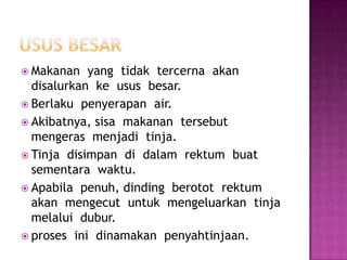  Makanan yang tidak tercerna akan
disalurkan ke usus besar.
 Berlaku penyerapan air.
 Akibatnya, sisa makanan tersebut
mengeras menjadi tinja.
 Tinja disimpan di dalam rektum buat
sementara waktu.
 Apabila penuh, dinding berotot rektum
akan mengecut untuk mengeluarkan tinja
melalui dubur.
 proses ini dinamakan penyahtinjaan.
 