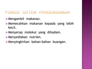  Mengambil makanan.
 Memecahkan makanan kepada yang lebih
kecil.
 Menyerap molekul yang dihadam.
 Menyediakan nutrien.
 Menyingkirkan bahan-bahan buangan.
 