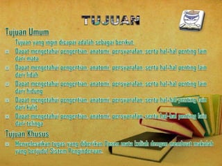 ppt. Sistem penginderaan | PPT