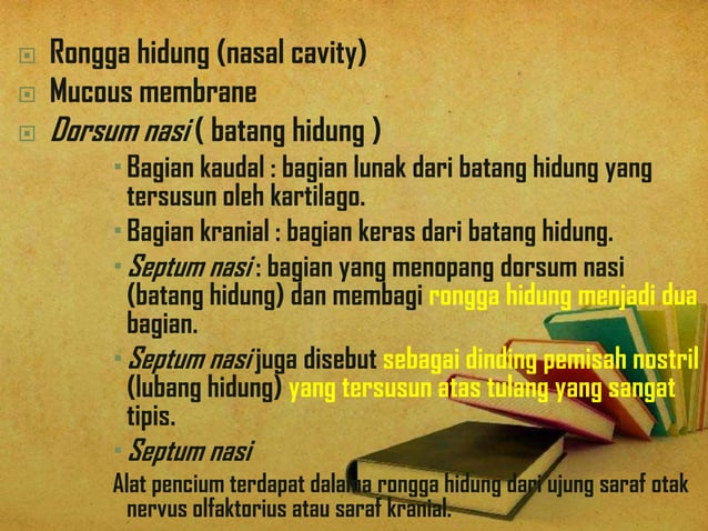 ppt. Sistem penginderaan | PPT