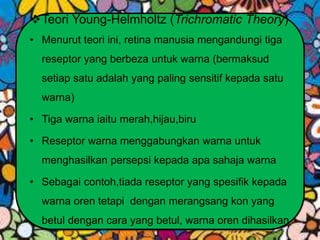 Teori Young-Helmholtz (Trichromatic Theory)
• Menurut teori ini, retina manusia mengandungi tiga
reseptor yang berbeza untuk warna (bermaksud
setiap satu adalah yang paling sensitif kepada satu
warna)
• Tiga warna iaitu merah,hijau,biru
• Reseptor warna menggabungkan warna untuk
menghasilkan persepsi kepada apa sahaja warna
• Sebagai contoh,tiada reseptor yang spesifik kepada
warna oren tetapi dengan merangsang kon yang
betul dengan cara yang betul, warna oren dihasilkan
 