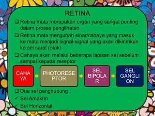 RETINA
 Retina mata merupakan organ yang sangat penting
dalam proses penglihatan
 Retina mata mengubah sinar/cahaya yang masuk
ke mata menjadi signal-signal yang akan dikirimkan
ke sel saraf (otak)
 Cahaya akan melalui beberapa lapisan sel sebelum
sampai kepada reseptor
 Dua sel penghubung :
 Sel Amakrin
 Sel Horizontal
CAHA
YA
PHOTORESE
PTOR
SEL
BIPOLA
R
SEL
GANGLI
ON
 