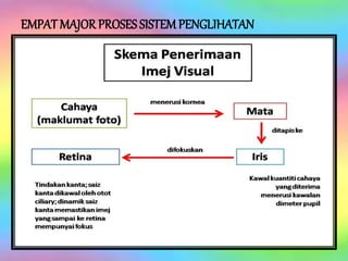 EMPAT MAJORPROSES SISTEM PENGLIHATAN
 