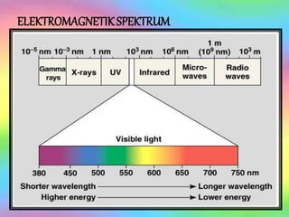 ELEKTROMAGNETIKSPEKTRUM
 