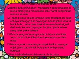 BINTIK BUTA( BLINDSPOT)
 Bintik buta (blind spot ) merupakan satu kawasan di
retina mata yang merupakan salur saraf penglihatan
menuju ke otak
 Tepat di salur keluar tersebut tidak terdapat sel peka
cahaya sehingga bila bayangan benda jatuh tepat di
bintik buta, maka otak tidak akan mendapat signal
dari mata kerana bayangan itu jatuh pada sel-sel
yang tidak peka cahaya
 Benda yang sebenarnya ada di depan kita tidak
akan dapat diidentifikasikan kewujudannya oleh
mata
 Namun jarak mata dengan objek ketika bayangan
objek jatuh pada bintik buta pada setiap orang
berbeza
 Hal ini disebabkan oleh ukuran bola mata,
kecembungan lensa mata dan jarak lensa ke retina
 
