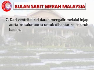 7.  Dari ventrikel kiri darah mengalir melalui injap aorta ke salur aorta untuk dihantar ke seluruh badan. 
