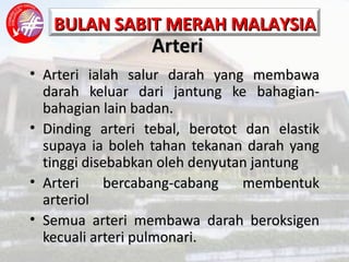 Arteri Arteri ialah salur darah yang membawa darah keluar dari jantung ke bahagian-bahagian lain badan. Dinding arteri tebal, berotot dan elastik supaya ia boleh tahan tekanan darah yang tinggi disebabkan oleh denyutan jantung Arteri bercabang-cabang membentuk arteriol Semua arteri membawa darah beroksigen kecuali arteri pulmonari. 