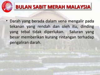 Darah yang berada dalam vena mengalir pada tekanan yang rendah dan oleh itu, dinding yang tebal tidak diperlukan.  Saluran yang besar memberikan kurang rintangan terhadap pengaliran darah. 