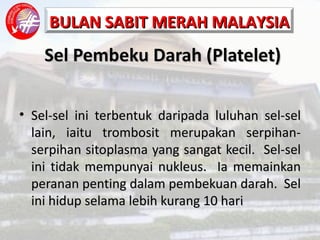 Sel Pembeku Darah (Platelet) Sel-sel ini terbentuk daripada luluhan sel-sel lain, iaitu trombosit merupakan serpihan-serpihan sitoplasma yang sangat kecil.  Sel-sel ini tidak mempunyai nukleus.  Ia memainkan peranan penting dalam pembekuan darah.  Sel ini hidup selama lebih kurang 10 hari 