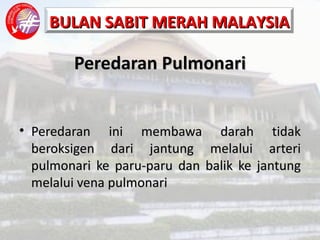 Peredaran Pulmonari Peredaran ini membawa darah tidak beroksigen dari jantung melalui arteri pulmonari ke paru-paru dan balik ke jantung melalui vena pulmonari 