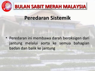 Peredaran Sistemik Peredaran ini membawa darah beroksigen dari jantung melalui aorta ke semua bahagian badan dan balik ke jantung 