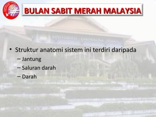 Struktur anatomi sistem ini terdiri daripada Jantung Saluran darah Darah 