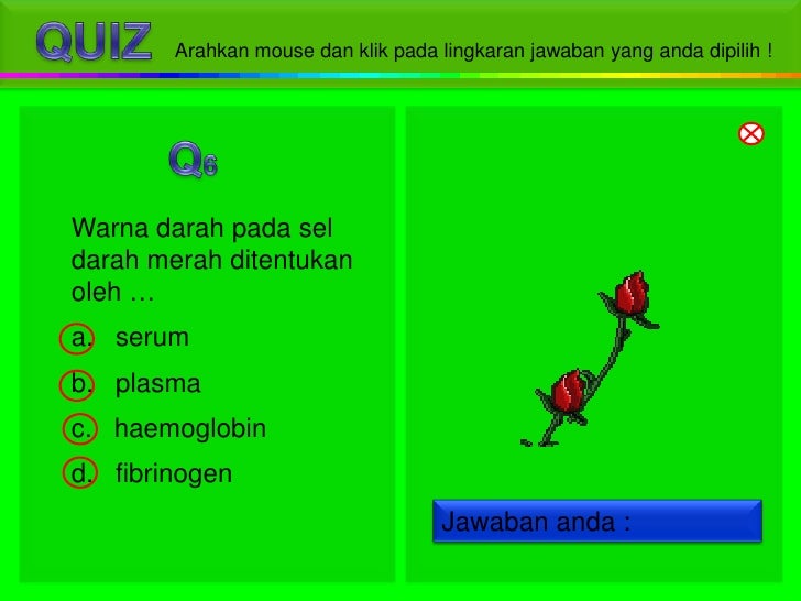 Sistem peredaran darah