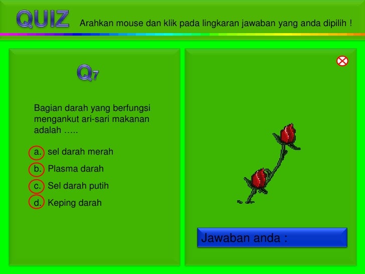 Sistem peredaran darah