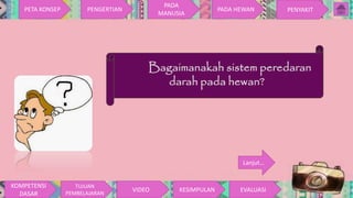 Sistem peredaran darah