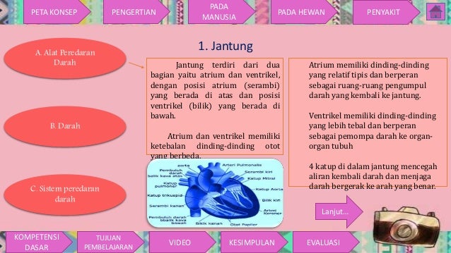 Sistem peredaran darah