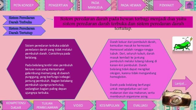 Sistem Peredaran Darah Sistem Peredaran Darah