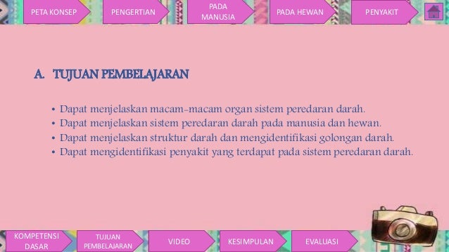 Sistem Peredaran Darah