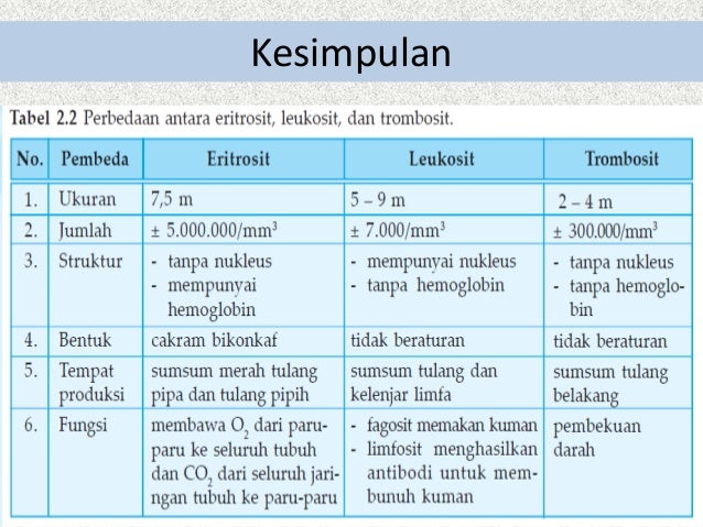 Sistem Peredaran Darah Sistem Peredaran Darah