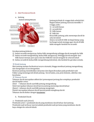 Gambar Rangkuman Sistem Peredaran Darah (SMP)
