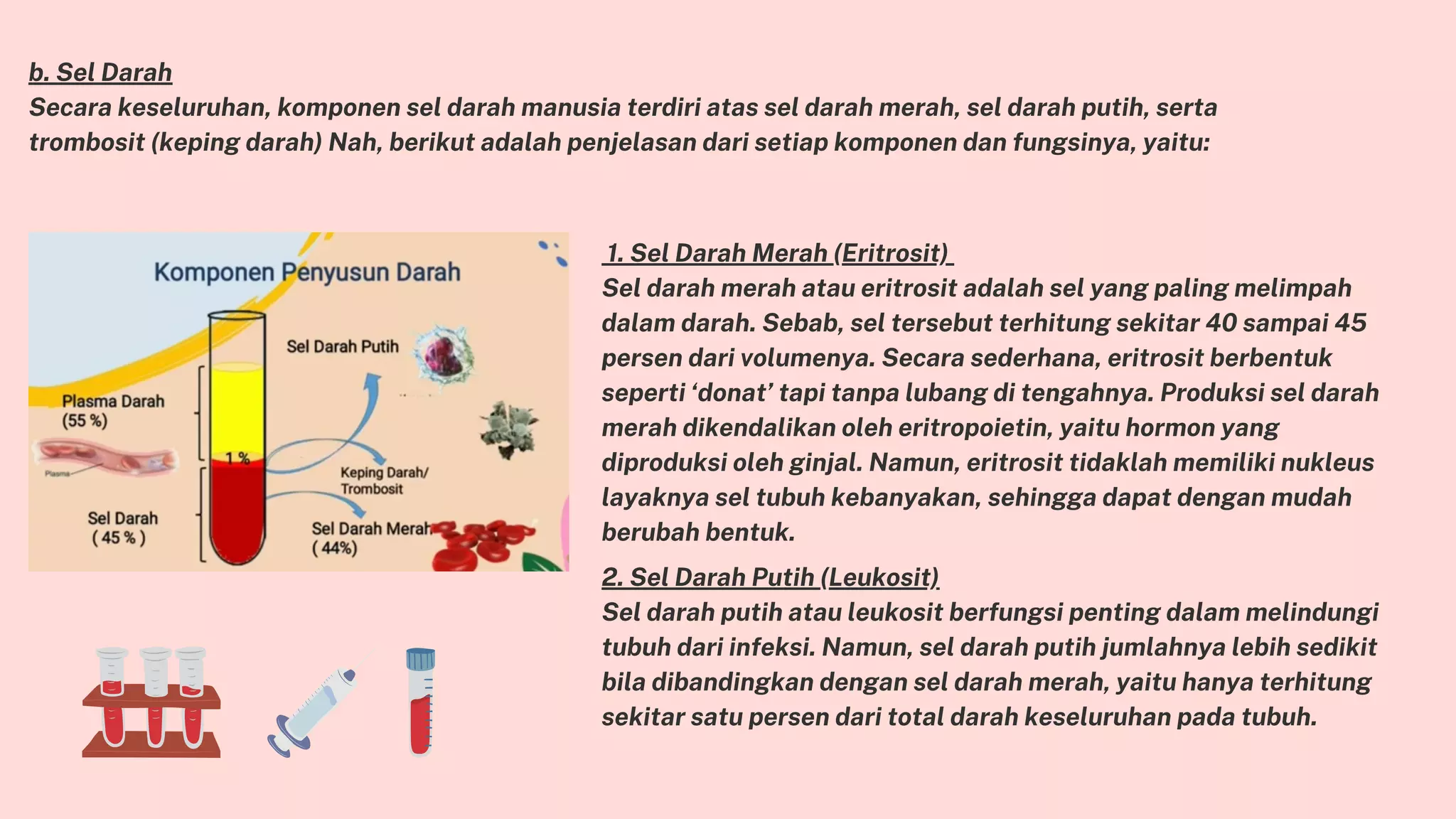 sistem-peredaran-darah-pdf