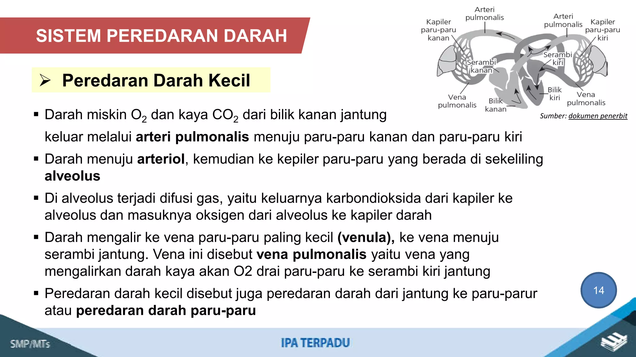 Sistem peredaran darah.pdf