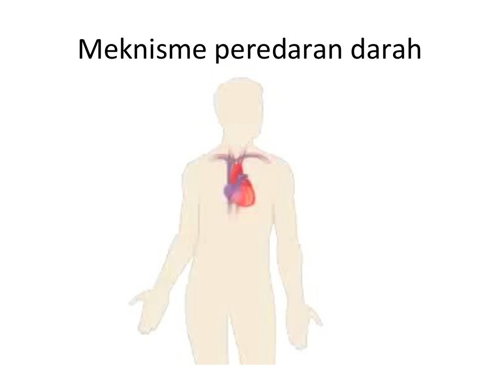 Sistem peredaran darah kelas XI IPA semester ganjil