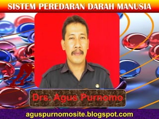 SISTEM PEREDARAN DARAH MANUSIA




     Drs. Agus Purnomo
   aguspurnomosite.blogspot.com
 