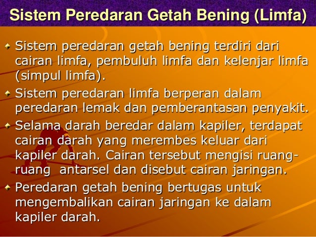 Sistem Peredaran Darah Pada Manusia