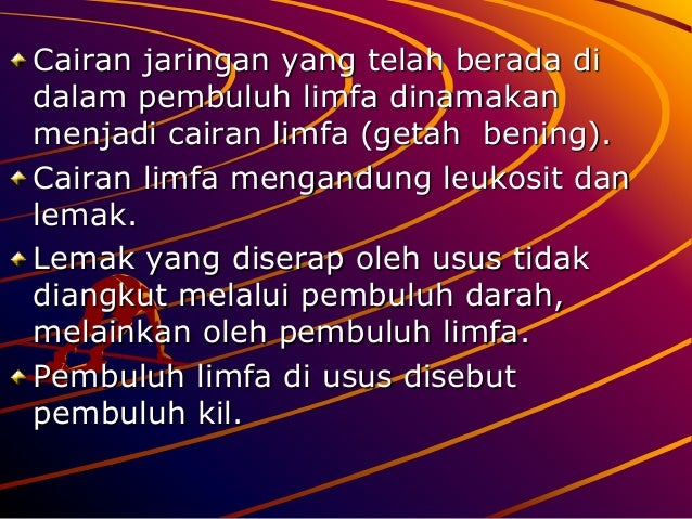 Sistem Peredaran Darah Pada Manusia