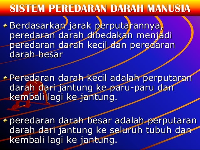 Ppt sistem peredaran darah pada manusia kelas 8