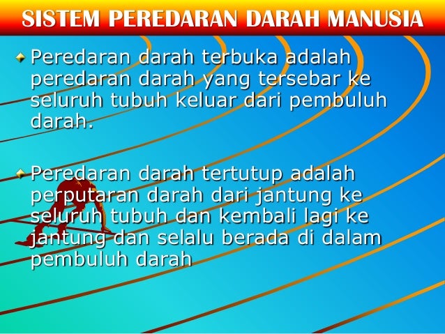 Sistem Peredaran Darah Pada Manusia Sistem Peredaran Darah Pada Manusia