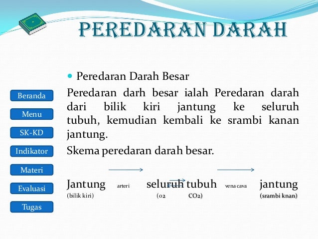 Sistem Peredaran Darah Manusia