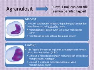 Sistem peredaran darah manusia | PPTX